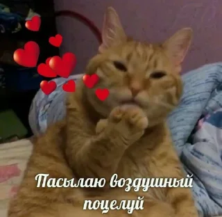 ❤️