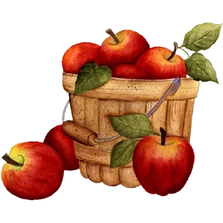 🍎
