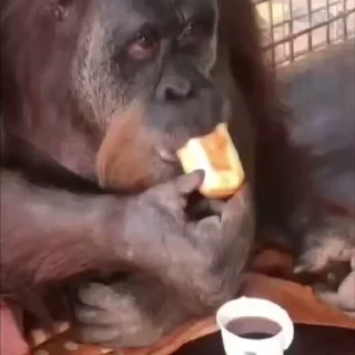☕