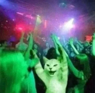 👥