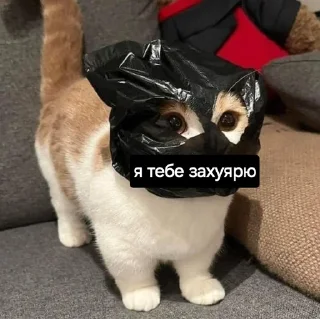 🥷