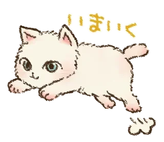 🐱
