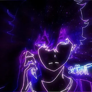 🌟
