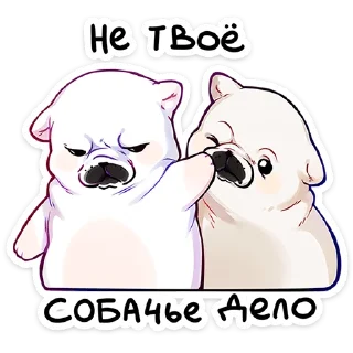 ⭐