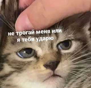 😒