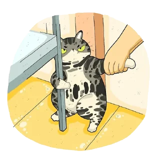 Cat^^