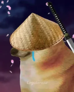 😭