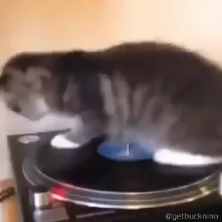 🥳