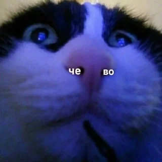 😶
