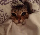 😴