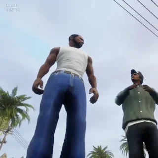 🌵