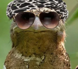 🪃