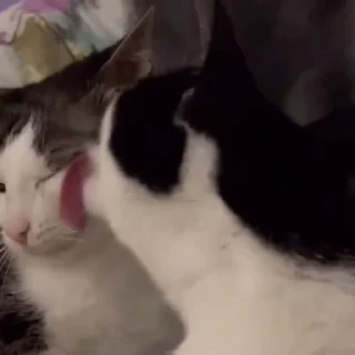 😋