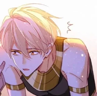 🌟