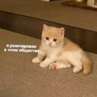 🤦‍♂️