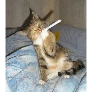 🚬