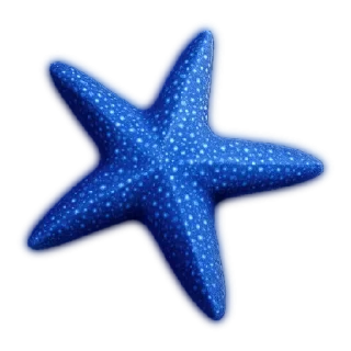 ⭐️