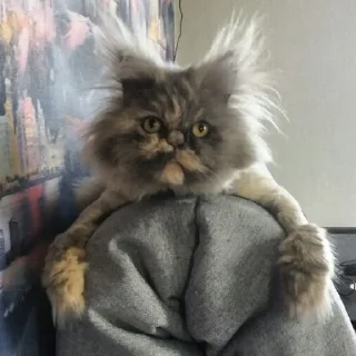 😉