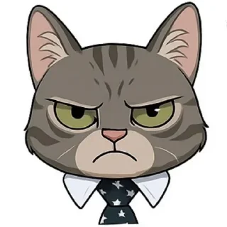 🐱