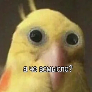 😕