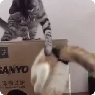 🤗