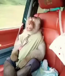 😜