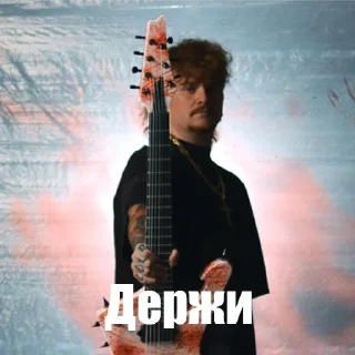 🎸