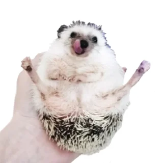 😜
