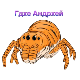 🕷️