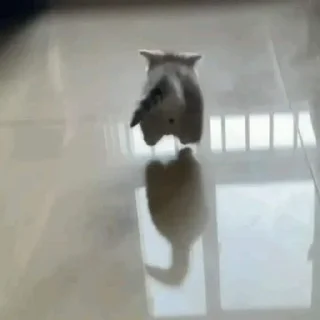👋