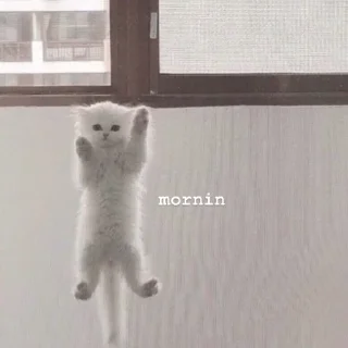 👋