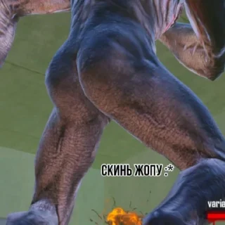 🍑