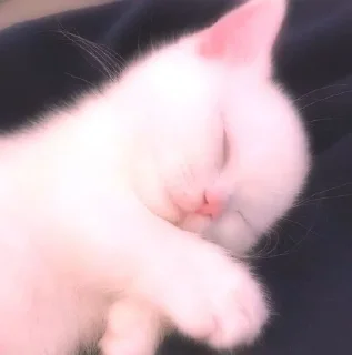💖