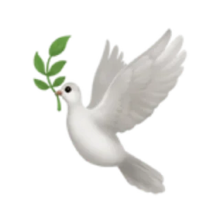🕊️