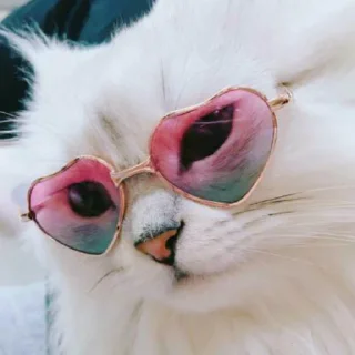 😅
