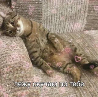 ☹️