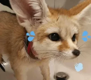 😊