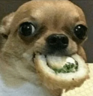 🍣