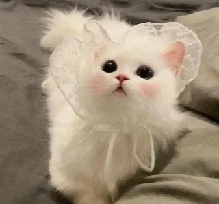 🥺