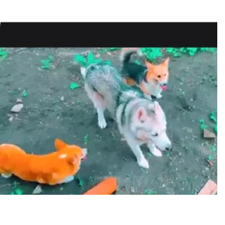 👍