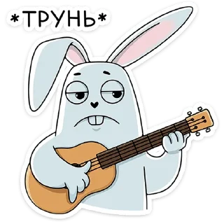 🎸