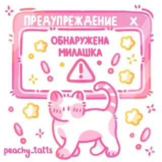 🐈
