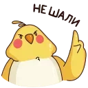 🙅‍♂️
