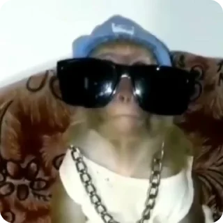 😳