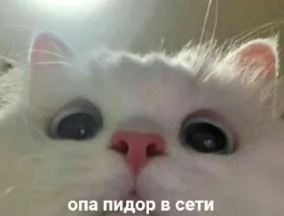 😶