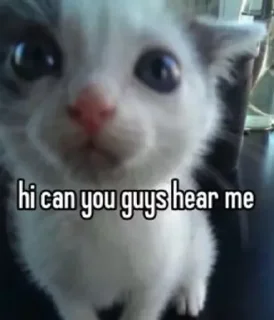 🥺