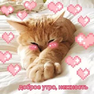 😊