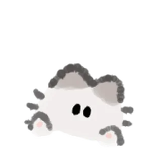 🐾