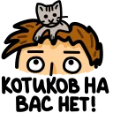 🐱