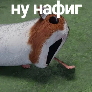 📦